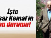 Üstad Yaşar Kemal'in son sağlık durumu!