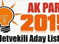 Akp Siirt Milletvekili Adayları
