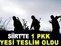 Pervari'de 1  PKK'lı teslim oldu