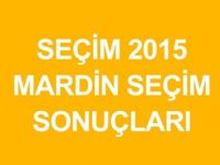 MARDİN-Dargeçit  Genel Seçim Sonuçları-2015