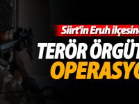 Siirt'teki terör operasyonu