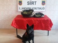 Siirt Baykan'da uyuşturucu operasyonu! 1 kişi gözaltına alındı