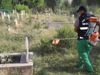 Mezarlıklarda Yabani Ot ve Bitkiler Toplanıyor