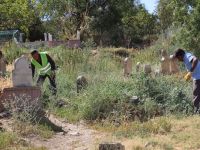 Bayram Öncesi Mezarlıklarda Yabani Ot Ve Bitkiler Toplanıyor