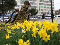 Laleler ve Mevsimlik Çiçekler Kent Estetiğine Güzellik Katıyor