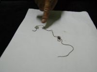 Bu Canlı Türkiyeyi Şok Etti