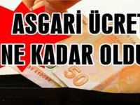 Asgâri Ücret 2015 Yılı Zam Oranı Ne Kadar Oldu? Asgâri Ücret Brüt Fiyatı