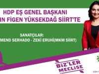 Fİgen Yüksekdağ Siirt Mitingi