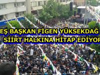 Hdp Siirt Mitingi Figen Yüksekdağ