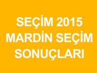 MARDİN-SAVUR  Genel Seçim Sonuçları-2015