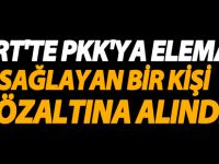 Siirt'te PKK'ya Eleman Sağlayan 1 Kişi Gözaltına Alındı