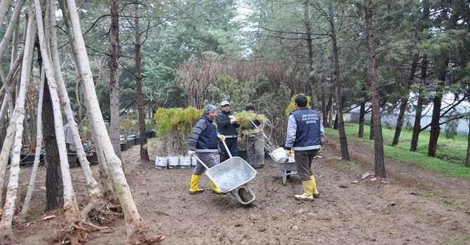 Yeşil bir Siirt için hazırlıklar tamam