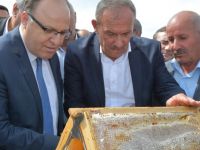 Siirt'te Arıcılara Bal Gibi Destek