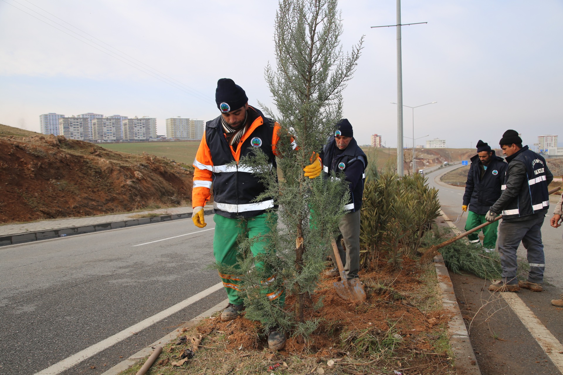 Siirt Belediyesi'nden ağaçlandırma çalışması