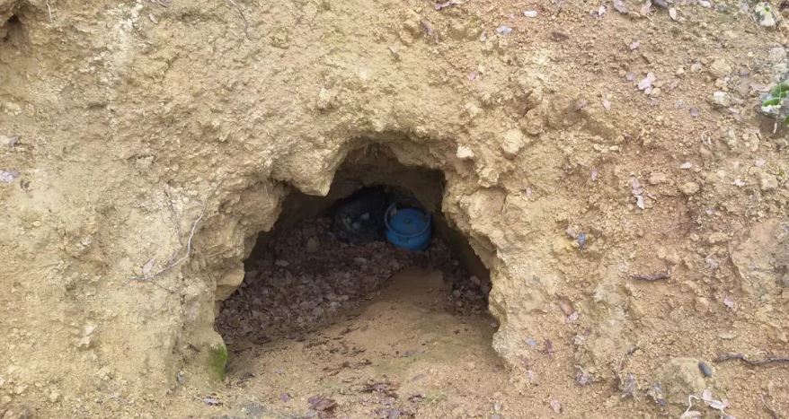 Siirt'te sığınağa operasyon