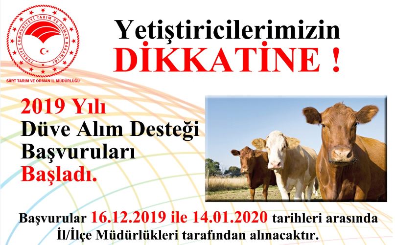 40 Düve Desteği başvuruları başladı