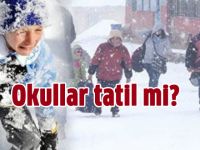 Yarın hangi illerde okullar tatil?güncellendi