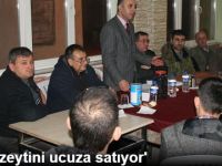 Üretici Zeytini Ucuza Satıyor