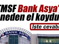 TMSF Bank Asya’ya el koydu .. Peki neden bunu yaptı?