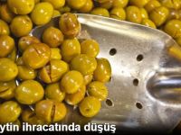 Yeşil Zeytin İhracatında Düşüş