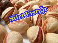 Siirt Fıstığı