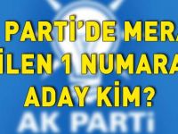 Siirt Ak Parti Adayları Kim ?