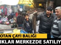 Botan Çayı'nda yakalanan balıklara büyük rağbet