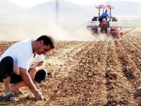Siirt'teki çifçilerin dikkatine!