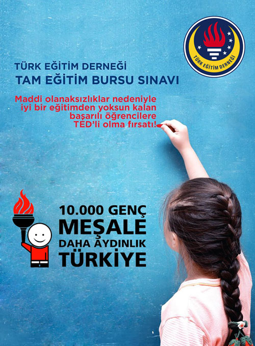 ted-sinavi.jpg