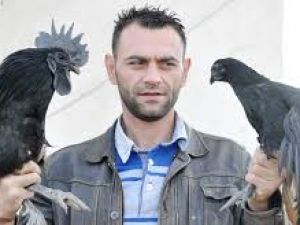 15 Bin Dolarlık Tavuk Ve Horuz
