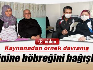 Kayınvalidesi Gelinine Böbreğini Verdi