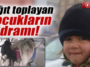 Kağıt Toplayan Küçük Kızın Dramı! Soğuğa Dayanamadı